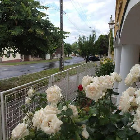 דירה Yellow Rose